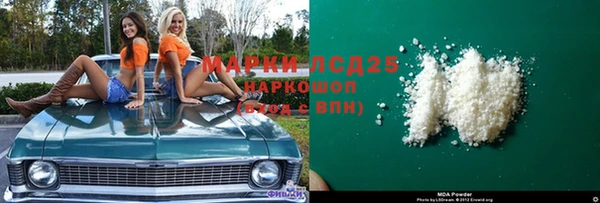 прущие грибы Алзамай