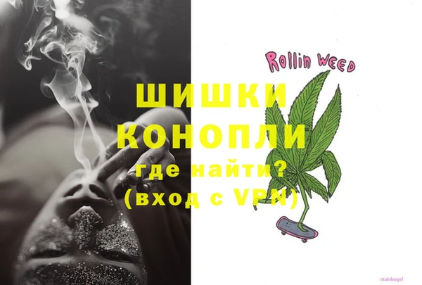 ГАЛЛЮЦИНОГЕННЫЕ ГРИБЫ Гусиноозёрск