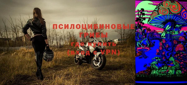 прущие грибы Алзамай