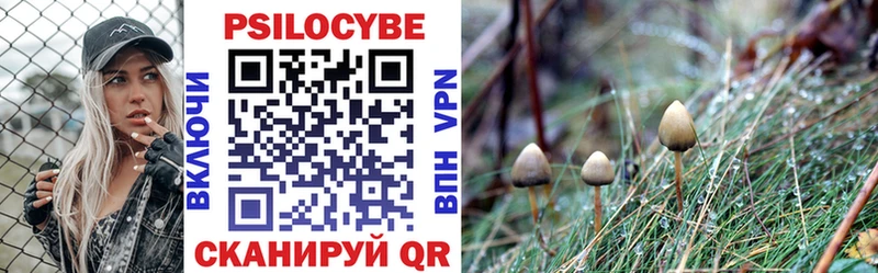 цена наркотик  Выкса  Галлюциногенные грибы Magic Shrooms 